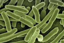 10 parasite signs