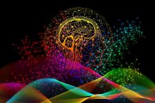 brain frog
