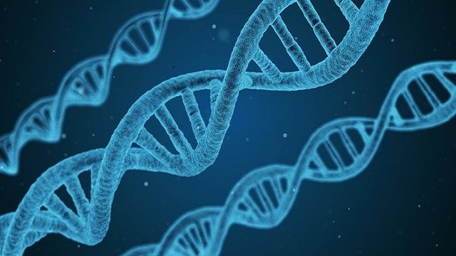 Life Expectancy – Quality of Life and Preventive Medicine
